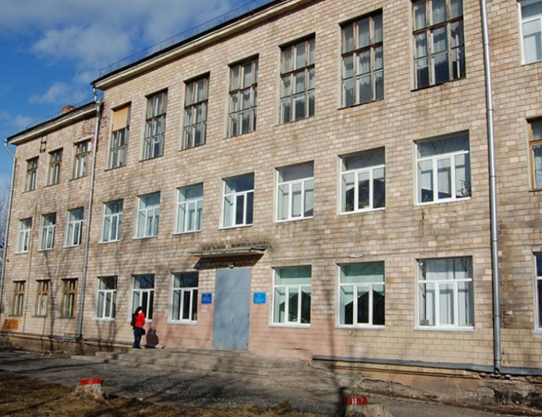 В Петросовете состоялось обсуждение предложения о введении территориального закрепления школ 