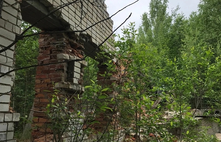 В рамках акции «Безопасность детства» Уполномоченный по правам ребёнка в Республике Карелия проверил несколько руинированных объектов в Прионежском и Пряжинском районах.