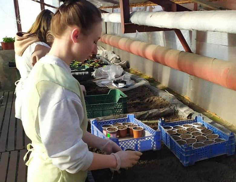 В Карелии в два раза увеличено финансирование трудоустройства подростков на предприятия экономики