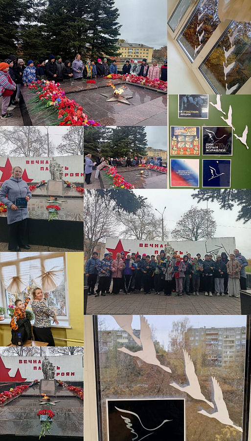 Общественный помощник Уполномоченного по правам ребёнка в Республике Карелия организовала урок памяти, приуроченный к Всероссийской акции «Дни белых журавлей», посвящённой памяти павших воинов.