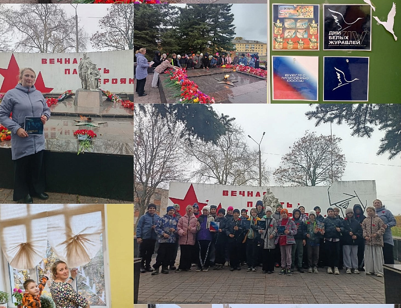 Общественный помощник Уполномоченного по правам ребёнка в Республике Карелия организовала урок памяти, приуроченный к Всероссийской акции «Дни белых журавлей», посвящённой памяти павших воинов.